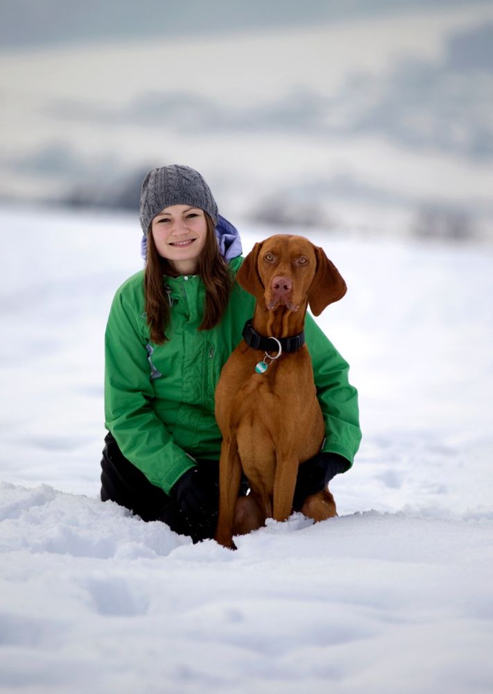 Magyar Vizsla